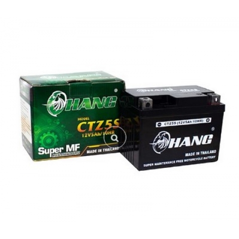 Bình Ắc Quy Xe Máy Chang CTZ5S (12V-4AH)