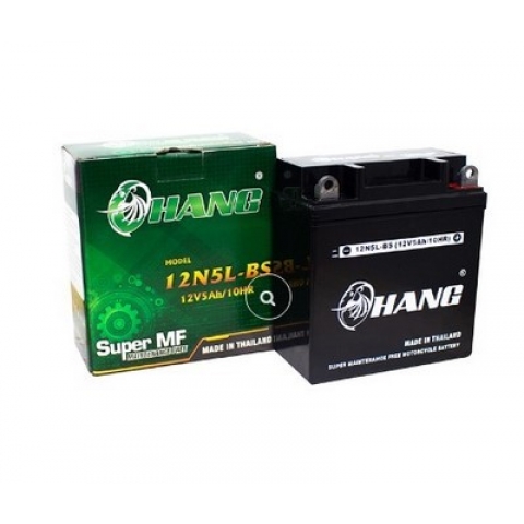 Bình Ắc Quy Xe Máy Chang 12N5L-BS (12V-5AH)