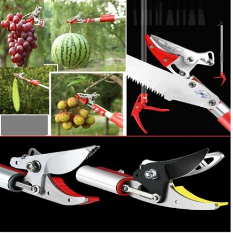 KÉO HÁI QUẢ - CẮT CÀNH TRÊN CAO 3 M